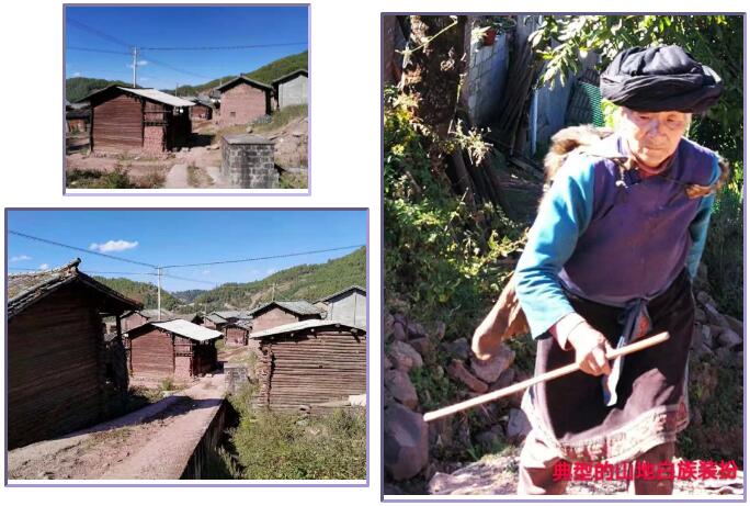 公益 | 辰竹党支部“沪滇携手,传递温暖,奉献爱心”