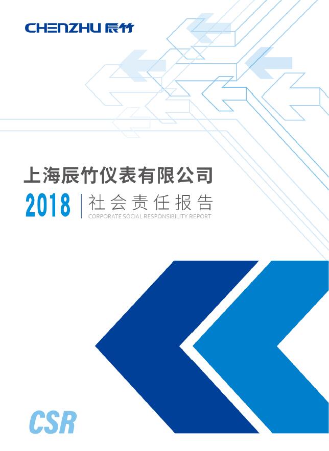 上海辰竹仪表发布2018年度企业社会责任报告并荣获绿色生态奖