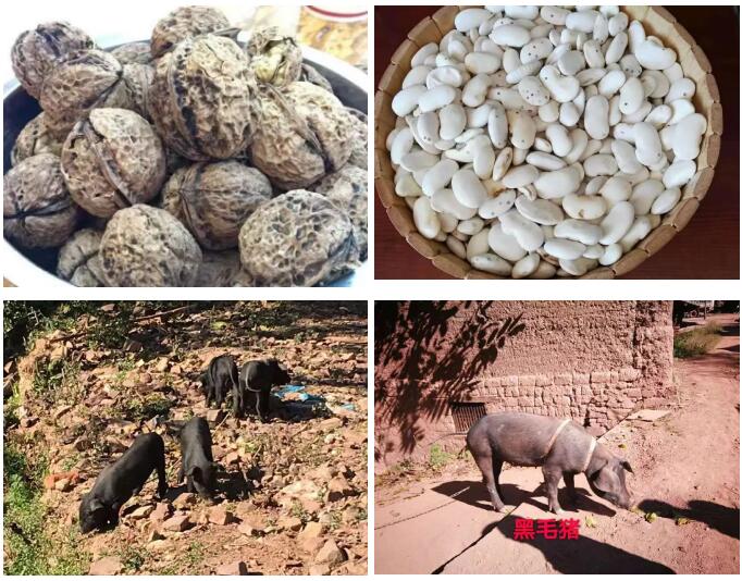 公益 | 辰竹党支部“沪滇携手,传递温暖,奉献爱心”