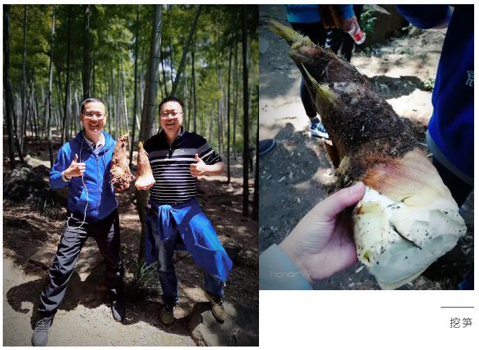 辰竹·周年庆 | 辰潜初心,竹梦前行!